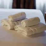 Schloss Haus Boutique Hotel Brasov